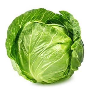 Cabbage